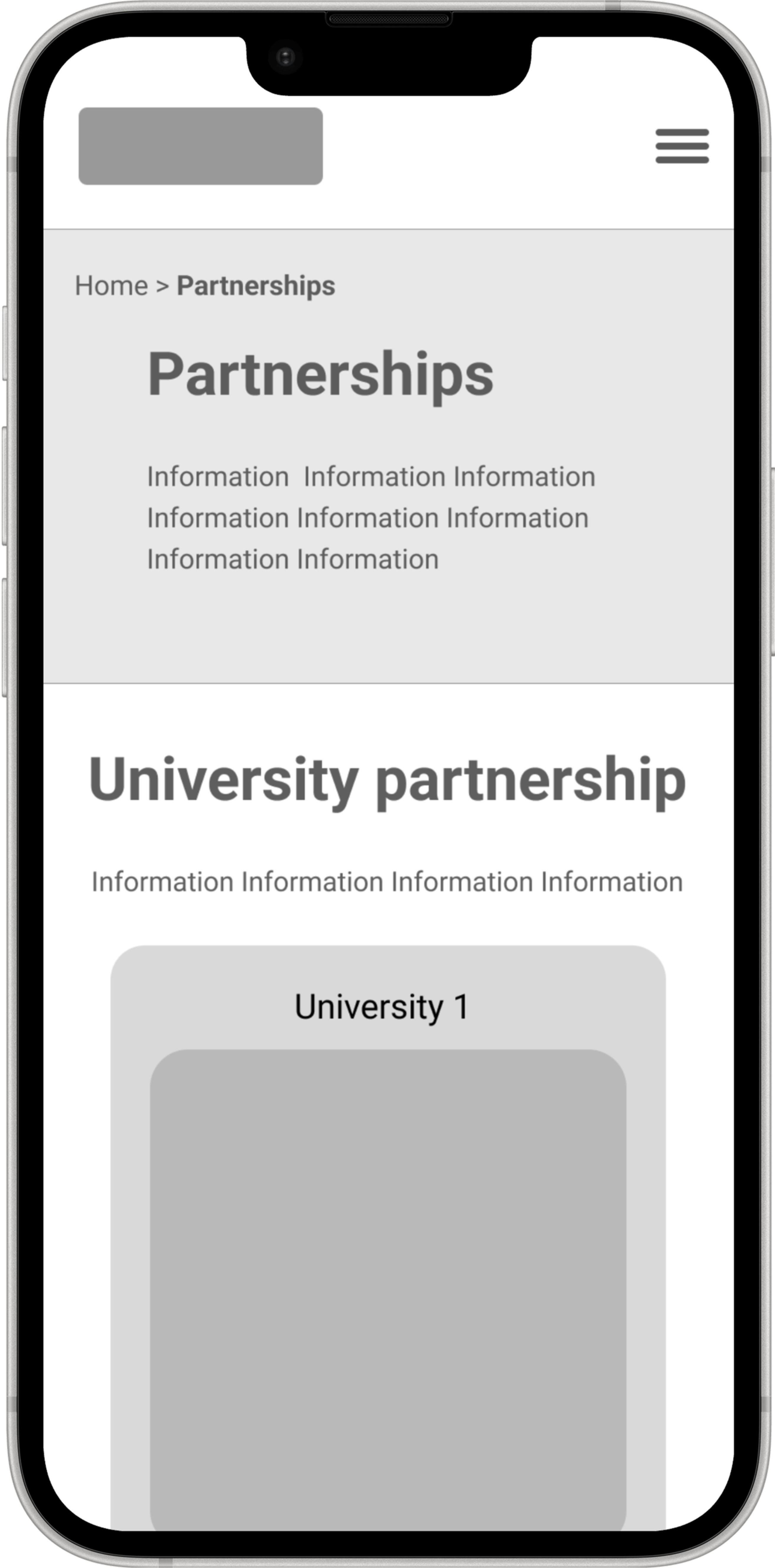Mobile wireframe — governance